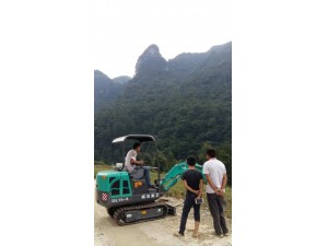 重慶客戶購(gòu)買的德力15-9挖掘機(jī)