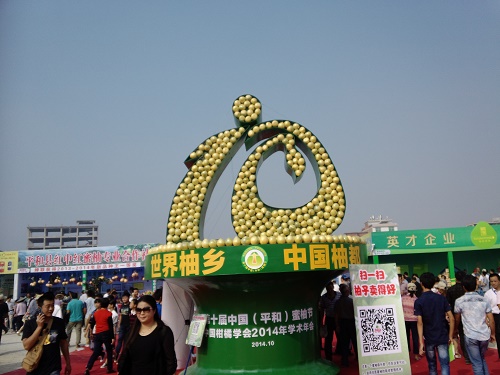 德力挖掘機 參展平和蜜柚節(jié)